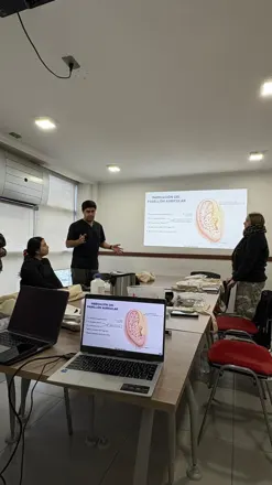 Clase sobre la inervación del pabellón auricular